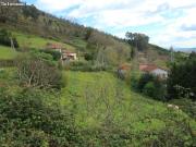 PARCELA EDIFICABLE EN VENTA