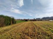 PARCELA EDIFICABLE EN VENTA EN ALBUERNE, CONCEJO DE...