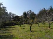 Parcela en Algarrobo