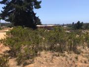 Parcela en Algarrobo