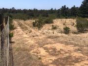 Parcela en Algarrobo