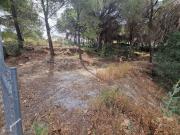 Parcela en Alhaurín de la Torre