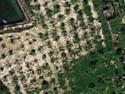 Parcela en alquiler en Elche, Maitino