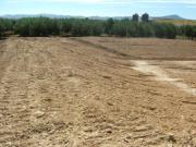 Parcela en alquiler en Fuente Álamo de Murcia, Los...