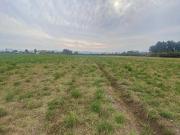 Parcela en arriendo en CALERA DE TANGO Parcela en arriendo en CALERA DE TANGO