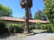 Parcela en Arriendo en Camino Lonquen Norte Paradero 1 Parcela en Arriendo en Camino Lonquen Norte Paradero 1