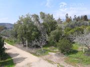 Parcela en Arriendo en CODIGUA,Melipilla G668,RM,Melipilla