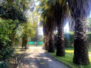 Parcela en Arriendo en El Trebolar