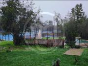 Parcela en arriendo en PAINE