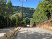 PARCELA EN BOSQUE, INVERSION HUILLINCO CHILOE