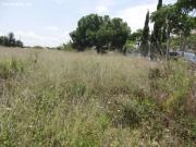 Parcela en Campolivar con excelente ubicación