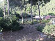 Parcela en Canyelles Les Palmeres