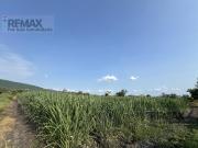 Parcela en Chiconcuac, Xochitepec, Morelos. Clave 5711