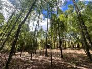 Parcela En Condominio Los Avellanos