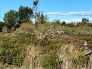 Parcela en Condominio Rio Chico Puerto Montt