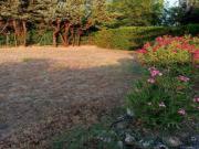 PARCELA EN DEHESA DE PEÑALBA