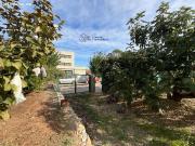 Parcela en el Palau, GRANDE Y LLANA