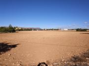 PARCELA EN EL PARAJE DE SUGEL