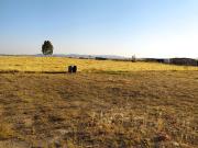 PARCELA EN EL PRADILLO a 10 minutos de Cáceres