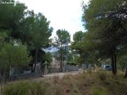 PARCELA EN EL SARGENTO ALCOY