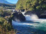 SE VENDE PARCELA 5.000m2 en Ensenada a 10 minutos de la...