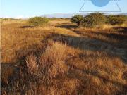 Parcela en Foresta de Zapallar Catapilco