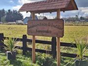 SE VENDE PARCELA 5000m2 EN FRUTILLAR, CERCANO A ROTONDA