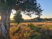 Parcela en Frutillar / Loteo con acceso controlado