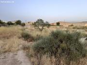 PARCELA EN HUITAR MAYOR, OLULA DEL RÍO, ALMERÍA