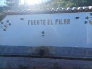 parcela en iznate con arboles