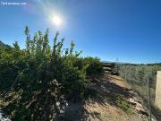 Parcela en la Huerta Abajo, el Planell, de 992 m2 hoy...