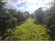 PARCELA EN LA ZONA DE BARRIADA DE LOS ANGELES....