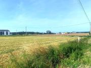 PARCELA EN LA ZONA DE LOS CAMPOS, TAPIA DE CASARIEGO