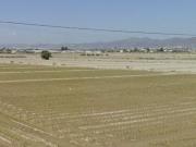 Parcela en Lorca