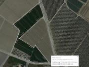 PARCELA EN LOS ABADES