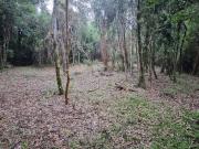 Parcela en Loteo Calfuco