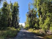 PARCELA EN LOTEO LAGO TARAHUIN