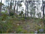 PARCELA EN MAS MESTRES