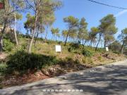 ¡ PARCELA EN OLIVELLA CAN SURIA!