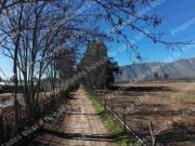 Parcela en Paine Huiticalan