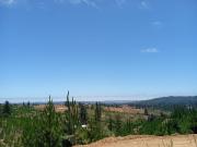 PARCELA EN PAREDONES, 5000 M2