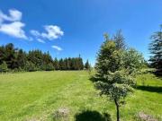 Parcela en Pedregoso Ribera norte