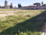 PARCELA EN PINAR DE LOS FRANCESES