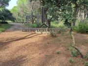 PARCELA EN PINARES DEL JUCAR