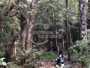 Parcela en Puerto Montt