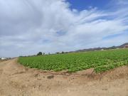 Parcela en Purias
