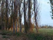Parcela en Rancagua