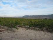 Parcela en SALINAS, ALICANTE