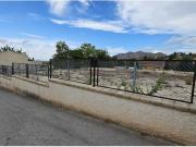 PARCELA EN SALINETAS DE 1003 M2