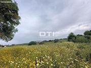 Parcela en San Bartolomé de la Torre a sólo 2Km del pueblo